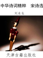中华诗词精粹  宋诗选