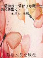 一场游戏一场梦（珍藏一
