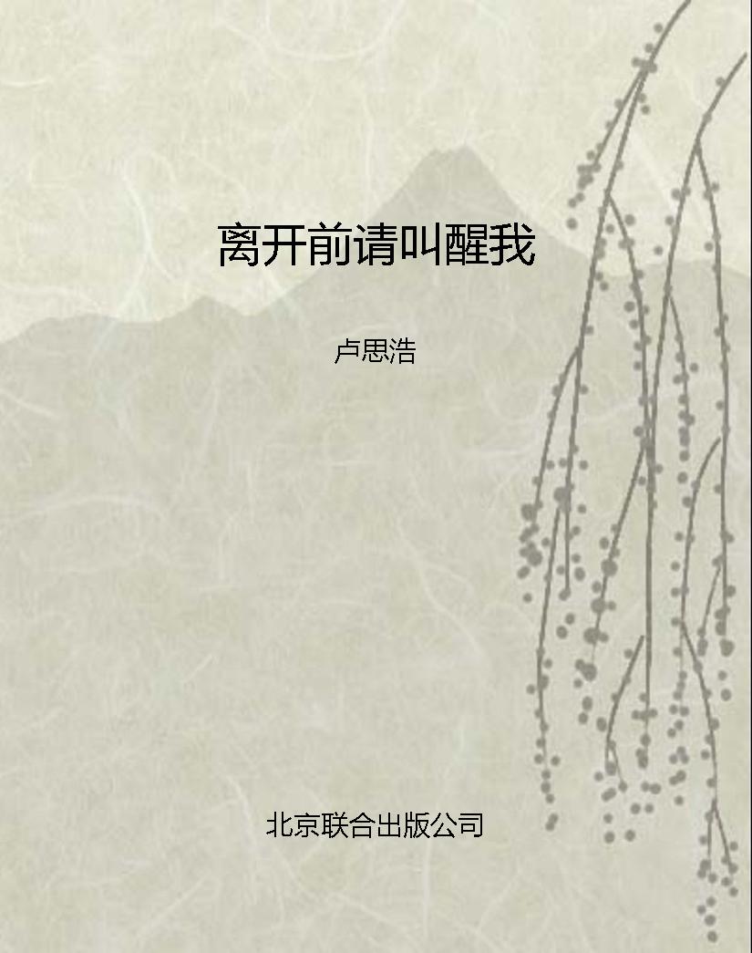 离开前请叫醒我
