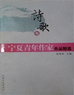 宁夏青年作家作品精选