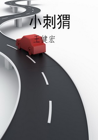 小刺猬