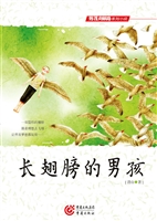 长翅膀的男孩