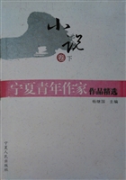 宁夏青年作家作品精选