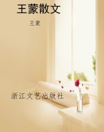 王蒙散文