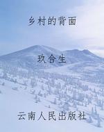 乡村的背面