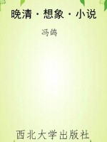 晚清·想象·小说