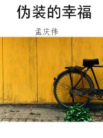伪装的幸福