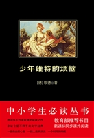 少年维特的烦恼
