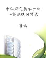 中华现代精华文库--鲁