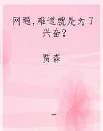 网遇，难道就是为了兴奋