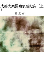 成都大案要案侦破纪实