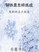 钢铁是怎样炼成