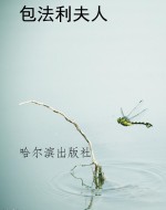 包法利夫人