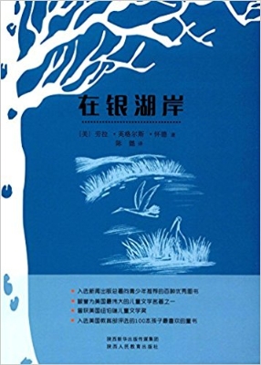 在银湖岸