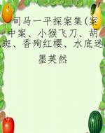 司马一平探案集（案中案