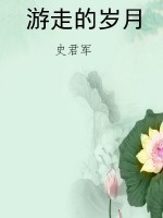 游走的岁月