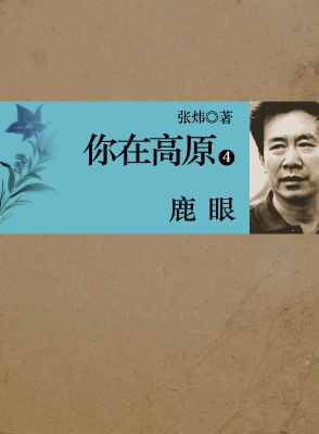 你在高原  第四部：鹿眼