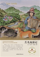 苦儿流浪记
