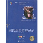 钢铁是怎样炼成的