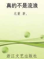 真的不是流浪
