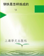 钢铁是怎样炼成的