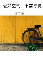 爱如空气，不需寻觅