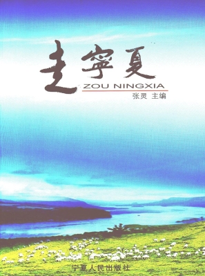 走宁夏