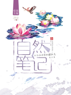 住在我家的戴胜鸟
