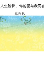 人生阶梯，你的爱与我同