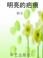 明亮的疤痕