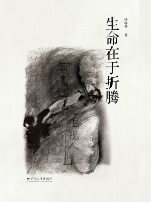 生命在于折腾