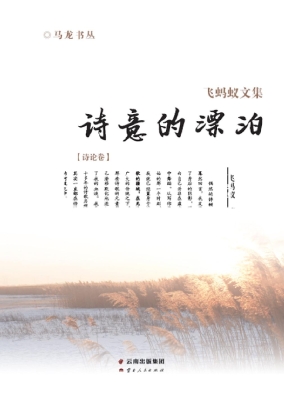 诗意的漂泊