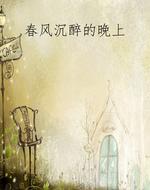 春风沉醉的晚上