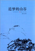 追梦的山谷