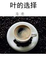 叶的选择