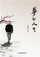 梦幻人生