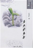 石头的生命