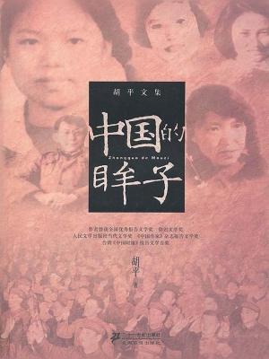 中国的眸子