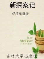新探案记