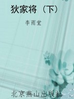 狄家将 (下)
