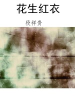 花生红衣