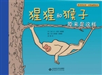 猩猩和猴子原来是这样