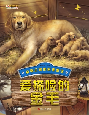 爱探险的金毛