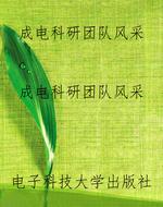 成电科研团队风采