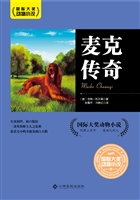 麦克传奇