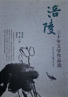 涪陵三十年文学作品选
