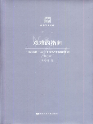艰难的指向——“新诗