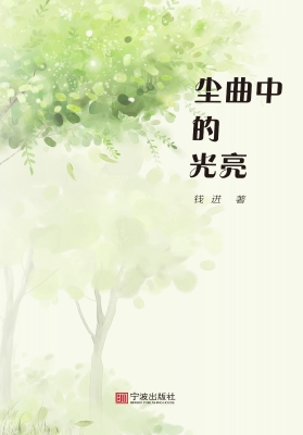 尘曲中的光亮