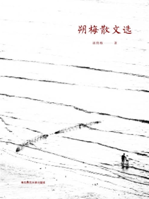 朔梅散文选