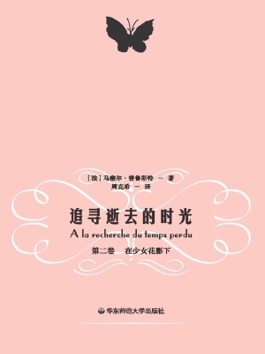 追寻逝去的时光（第二卷